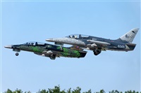 Tams. Click to see full size photo