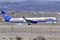Miguel A. gueda Rguez.  (CANARY ISLANDS SPOTTING). Click to see full size photo