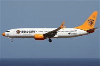 ©Alfonso Solís - Asociación Canary Islands Spotting. Click to see full size photo ©Alfonso Solís - Asociación Canary Islands Spotting. Click to see full size photo