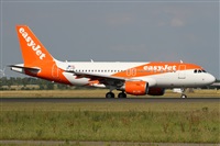 ©Alfonso Solís - Asociación Canary Islands Spotting. Click to see full size photo ©Alfonso Solís - Asociación Canary Islands Spotting. Click to see full size photo