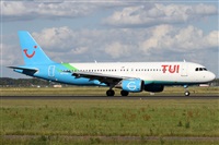 ©Alfonso Solís - Asociación Canary Islands Spotting. Click to see full size photo ©Alfonso Solís - Asociación Canary Islands Spotting. Click to see full size photo
