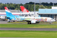 Miguel A. gueda Rguez.  (CANARY ISLANDS SPOTTING). Click to see full size photo