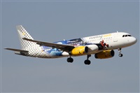 ©Alfonso Solís - Asociación Canary Islands Spotting. Click to see full size photo ©Alfonso Solís - Asociación Canary Islands Spotting. Click to see full size photo