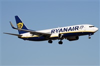 Alfonso Sols - Asociacin Canary Islands Spotting. Click to see full size photo