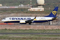 Alfonso Sols - Asociacin Canary Islands Spotting. Haz click para ampliar