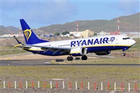 Miguel A. gueda Rguez.  (CANARY ISLANDS SPOTTING). Click to see full size photo