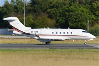 Miguel A. gueda Rguez.  (CANARY ISLANDS SPOTTING). Click to see full size photo