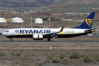Alfonso Sols - Asociacin Canary Islands Spotting. Click to see full size photo