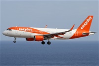 ©Alfonso Solís - Asociación Canary Islands Spotting. Click to see full size photo ©Alfonso Solís - Asociación Canary Islands Spotting. Click to see full size photo