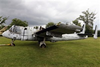 �Javier Rodr�guez. Click to see full size photo