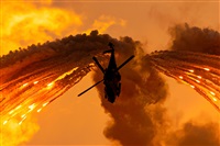 �Tam�s. Click to see full size photo