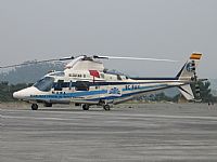 Ivan - IBE6402. Click to see full size photo