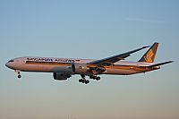 Jos Miguel Bernases - Noisy Spotters. Click to see full size photo