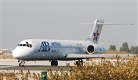 Rubn Gil - Noisy Spotters. Click to see full size photo