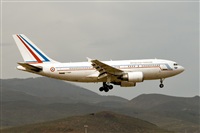 Javier de la Cruz - CANARY ISLANDS SPOTTING. Click to see full size photo