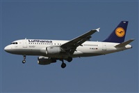 Jos Miguel Bernases - Noisy Spotters. Click to see full size photo