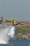 Eliseo Vergara. Click to see full size photo