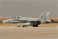Galo Alcolea - Iberian Spotter / AIRE.ORG. Click to see full size photo