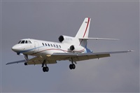 Jos Miguel Bernases - Noisy Spotters. Click to see full size photo