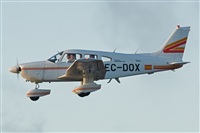 Gerardo A. Prez   Canary Islands Spotting. Click to see full size photo