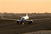 Javier de la Cruz - CANARY ISLANDS SPOTTING. Haz click para ampliar