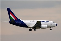 Javier de la Cruz - CANARY ISLANDS SPOTTING. Click to see full size photo