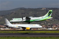 Nacho Rodriguez - Canary Islands Spotting. Click to see full size photo