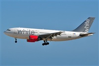 Miguel A. gueda Rguez.  (CANARY ISLANDS SPOTTING). Click to see full size photo