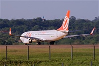 Javier de la Cruz - CANARY ISLANDS SPOTTING. Click to see full size photo