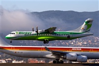 Javier de la Cruz - CANARY ISLANDS SPOTTING. Click to see full size photo