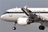 Rubn Gil - Noisy Spotters. Click to see full size photo
