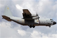 J. Victor Vega-Gran Canaria Spotters. Click to see full size photo