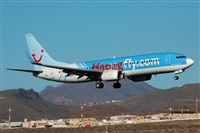 Miguel A. gueda Rguez.  (CANARY ISLANDS SPOTTING). Click to see full size photo