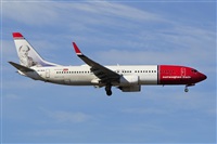 Miguel A. gueda Rguez.  (CANARY ISLANDS SPOTTING). Click to see full size photo
