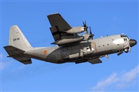 Bartolom Fernndez - Gran Canaria Spotters. Click to see full size photo