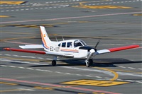 ©Salvador de la Rubia ( Marbella Spotters ). Click to see full size photo ©Salvador de la Rubia ( Marbella Spotters ). Click to see full size photo