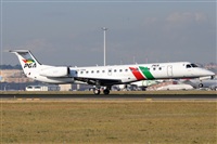 Rubn Gil - Noisy Spotters. Click to see full size photo
