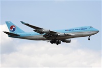 Miguel Alia - Noisy Spotters. Click to see full size photo