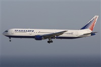©Alfonso Solís - Asociación Canary Islands Spotting. Click to see full size photo ©Alfonso Solís - Asociación Canary Islands Spotting. Click to see full size photo