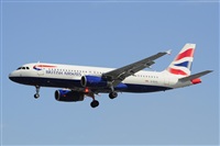 Miguel A. gueda Rguez.  (CANARY ISLANDS SPOTTING). Haz click para ampliar