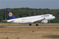 Javier de la Cruz - CANARY ISLANDS SPOTTING. Click to see full size photo