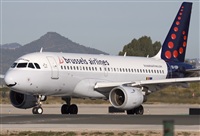 Miguel Alia - Noisy Spotters. Click to see full size photo