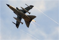 Chema Gmez. Click to see full size photo