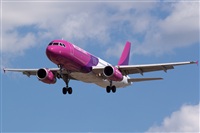 Miguel Alia - Noisy Spotters. Click to see full size photo