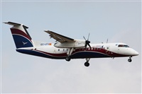 Rodrigo Carvalho - Noisy Spotters. Click to see full size photo