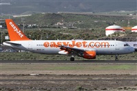 Alfonso Sols - Asociacin Canary Islands Spotting. Click to see full size photo