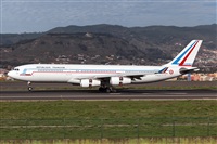 Javier de la Cruz - CANARY ISLANDS SPOTTING. Click to see full size photo