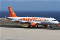 ©Alfonso Solís - Asociación Canary Islands Spotting. Click to see full size photo ©Alfonso Solís - Asociación Canary Islands Spotting. Click to see full size photo