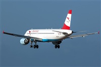 Bartolom Fernndez - Gran Canaria Spotters. Click to see full size photo