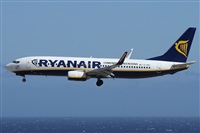 ©Alfonso Solís - Asociación Canary Islands Spotting. Click to see full size photo ©Alfonso Solís - Asociación Canary Islands Spotting. Click to see full size photo